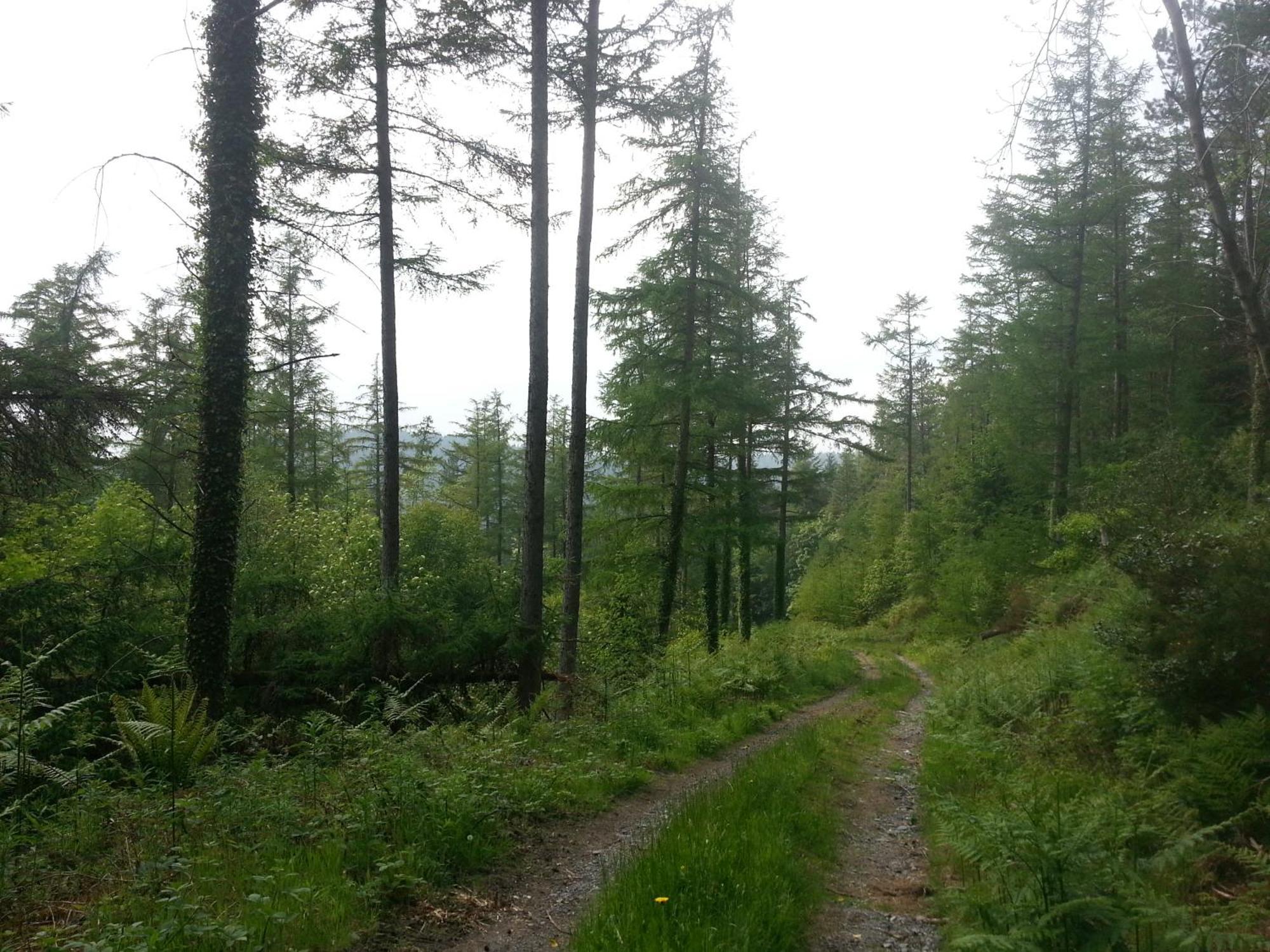 Ty Capel Isa Villa Blaenau Ffestiniog Buitenkant foto